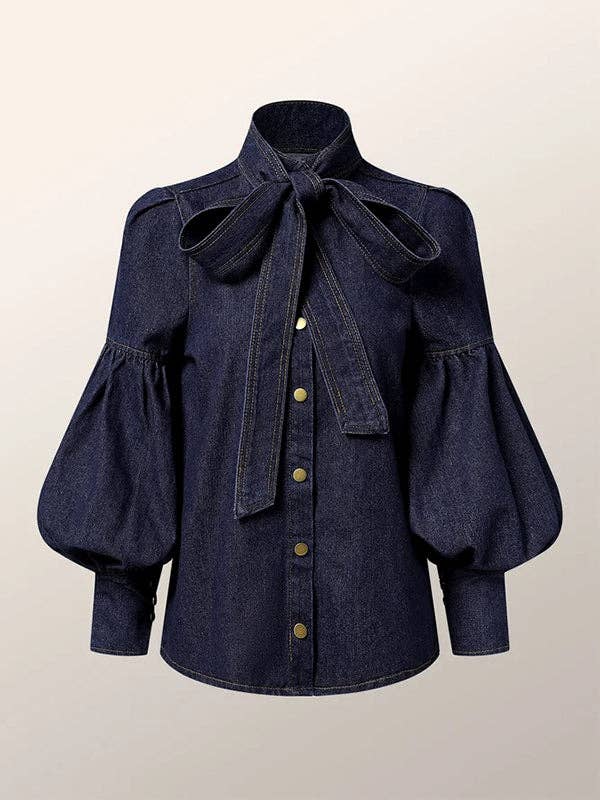 Long Sleeves Puff Sleeves Bow-Tied High Neck Blouse
