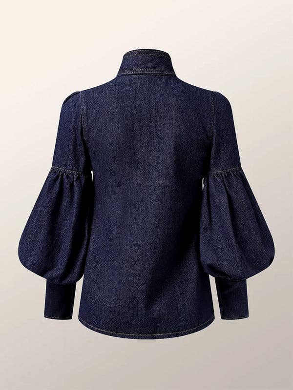 Long Sleeves Puff Sleeves Bow-Tied High Neck Blouse