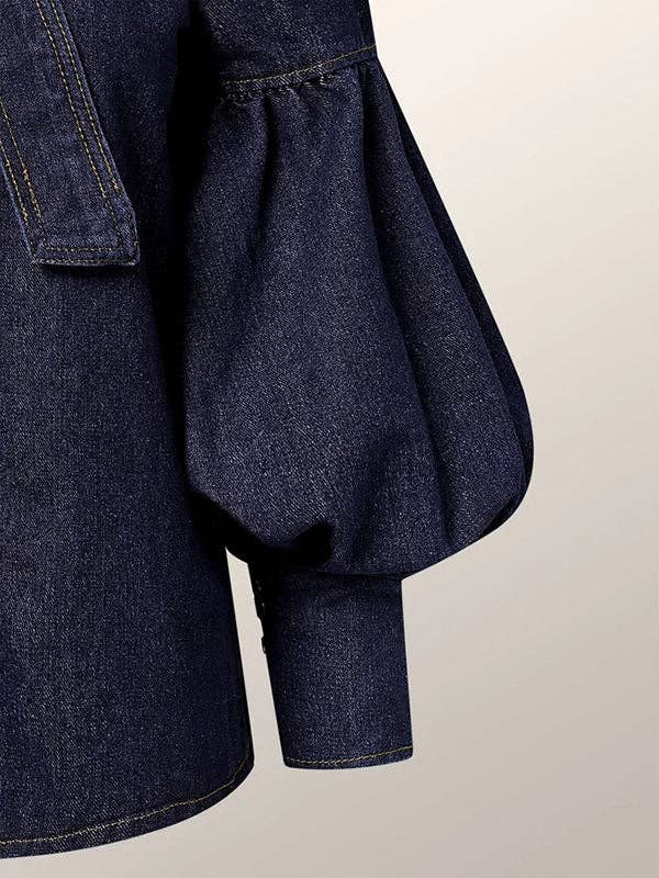 Long Sleeves Puff Sleeves Bow-Tied High Neck Blouse